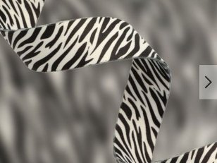 zebra-25mm-2m