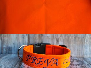 neon-oranzova-letni