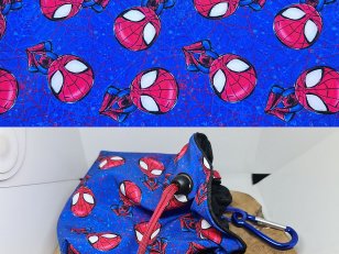 spider